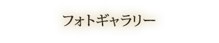 フォトギャラリー